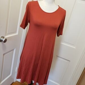 NWT Agnes & Dora Terrecotta Swing Tunic Size XS (936)